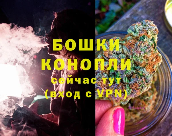Альфа ПВП Гусь-Хрустальный