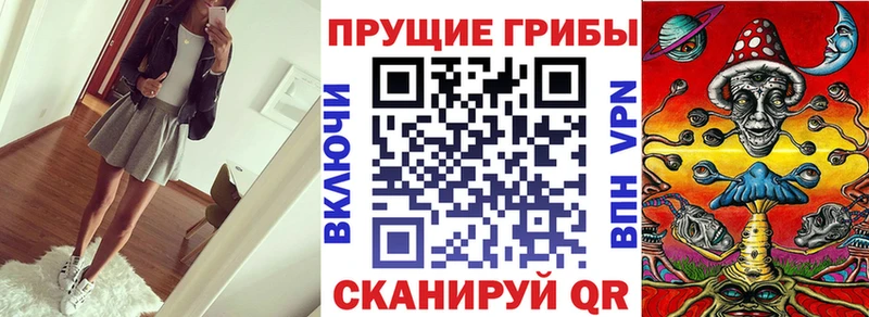 закладки Ростов Псилоцибиновые грибы GOLDEN TEACHER